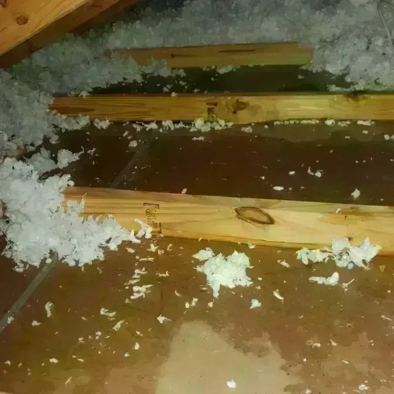 Attic Water Damage in Penn Valley, CA